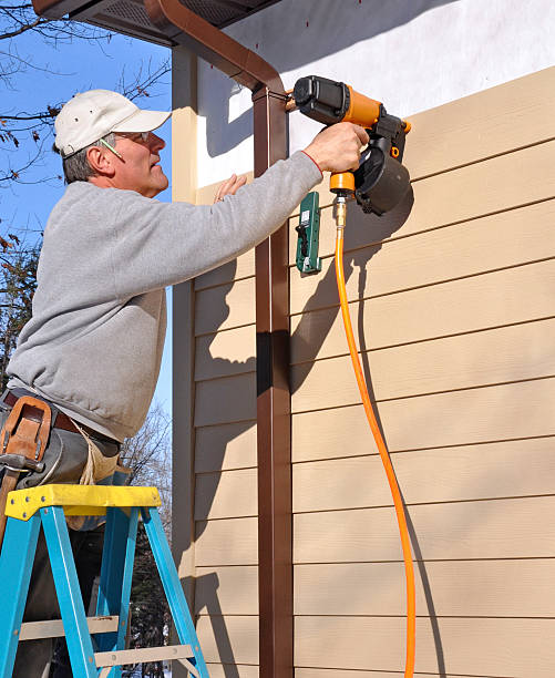 Best Siding Removal and Disposal  in Belle Plaine, MN